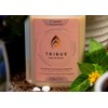 TRIBUS® - Seedling to Harvest Microbial inoculant - Treats up