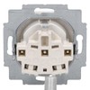 Busch-Jaeger Socket Insert AWS 20 EUC-214 (Pack of 10)