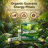 (2 Pack) - Rio Trading Guarana Jungle Elixir 10 X