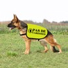 Pas De Caresses Dog Coach Gift Walking Warning Dog Jacket