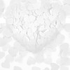 LFCFBH 5000PCS Biodegradable Confetti Wedding, White Confetti for Weddings, Decorations