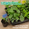 SOLIGT 2 Set 60-Cell Seed Starter Kit - Strong Seed