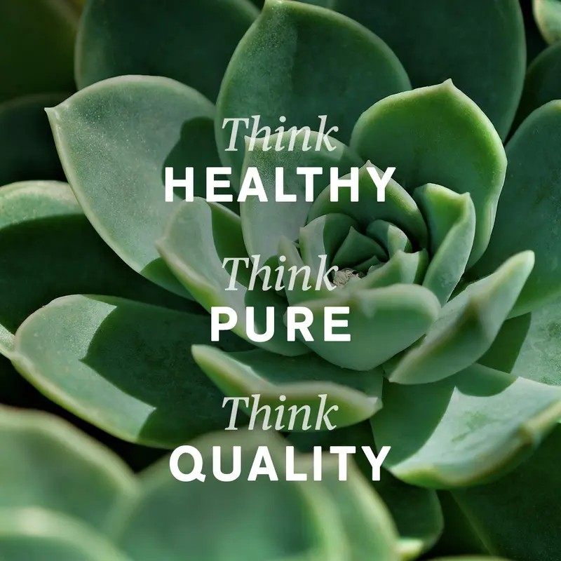 Lymphatic Support Supplement – Herbal Formula for Daily Wellness