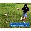 Interactive Flirt Pole Toy for Dogs Chase and Tug of