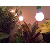 Miracle LED 604600 Spectrum Grow Light, 8-Pack, Multi-Plant Red 150W
