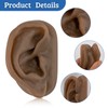 SimCoach Modelo de oreja de acupuntura, réplica de oreja artificial