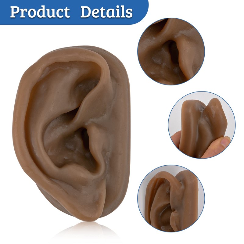 SimCoach Modelo de oreja de acupuntura, réplica de oreja artificial