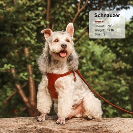 Didog No Pull Dog Harness for Small Dogs, Soft & Lightweight Small Dog Harness and Leash Set, Durable & Adjustable Leather Puppy Harness for Small Medium Dogs, Brown, S