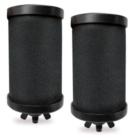 2387 Pro Water Filter - NSF/ANSI Certified for Alexapure Water Filtration System, 5000 Gallon Throughput Capacity, 2 Pack