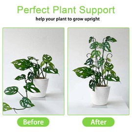 Xeeol Plant Trellis for Potted Plants 4p, Larger 23in Garden Trellis for Climbing Plants Indoor Outdoor, Rustproof House Plant Support for Pothos Hoya Ivy Flower