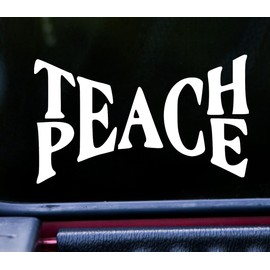 Minglewood Trading Teach Peace 5" x 3" Vinyl Decal Sticker - Love Happiness Gandhi - - Silver
