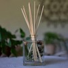 Rosy Rings Forest Botanical Reed Diffuser 4oz - Lasts 6-12