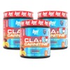 BPI CLA Carnitine Carnitine Powder Powder Conjugated Linolenic Acid 350g 3 Fruit Punch / BPI CLA 카르니틴 카르티닌 분말 가루 공액리놀렌산 350g 3개 후루트펀치