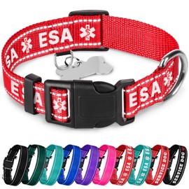 TECEUM Reflective Pet Collar – Red - ESA – L – Basic Nylon Dog Collar – Quick Release Buckle – Fits Small, Medium and Large Dogs, Puppies, Cats – ESA & Service Dog Options