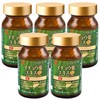 Ribeto Ginkgo Leaf Extract Plus, 30 Day Supply, Made in