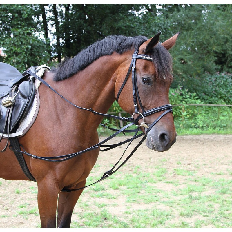 Kerbl Triangular Vienna Reins