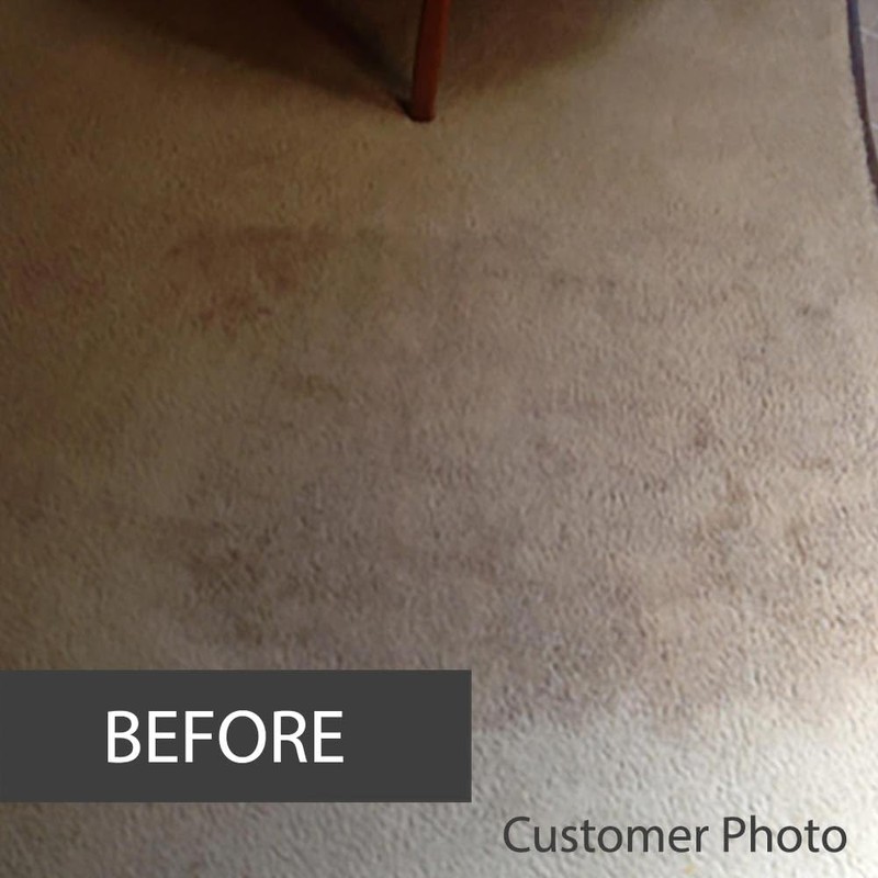 Quality Chemical Brown Out Carpet Stain Remover/Carpet Cleaner Solution for