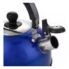 Kettle Tetera Silbadora Hervidor De Agua Cocina
