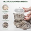 Dog Hair Dryer Cat Brush with Steam Cat Brush with