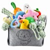 Ousiya Ousiya 24 Pack Puppy Toys Set with Storage Box