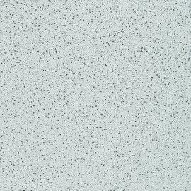 USG GIDDS-5275672 R2120 Radar Ceiling, 2X2 Ft. X 5/8 in, 16 Tiles Per Box-5275672, 2 x 2 x 5/8"