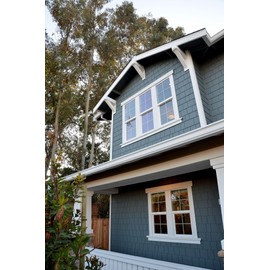 Simpson Strong Tie S20SND1 20d Cedar and Redwood Siding Nails 4-Inch 14 Gauge 304 1-Pound Stainless Steel