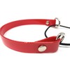 Sparky Pet Co - ECollar Replacement Strap - Bungee Dog