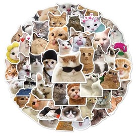 POPOYU 100pcs Cute Funny Cat Stickers for Kids,Cartoon Theme Water Bottle Stickers for Teens Boys Girls,Aesthetic Cat Anime Vinyl Stickers Party Favors for Kids Party Bags Filler,Laptop,Skateboard