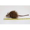 Litterboy Rat Attachment - Fits Popular Wand Toys