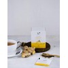 Mementa Inc Organic Ginger Tea, 20-Count Bags (Pack of 6)