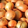 Granulated Onions (250g, 8.8 oz), Onion granules, Ground Onions, 100%