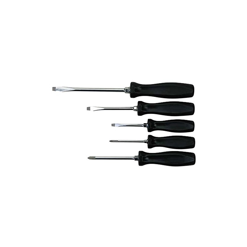 Williams 5 Pcs Mixed screwdrr Set (100P – 5MD) Screw