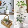 Cusmation 4.7 Inch Modern Plant Pot White Ceramic Planters for