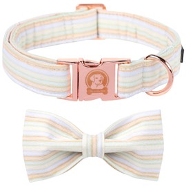 MR.CHUBBYFACE Orange Dog Collar with Bowtie, Cute Fall Pet Collar for Girl Boy Female Dogs, Adjustable Cotton Puppy Collar with Metal Buckle for X-Small Dogs