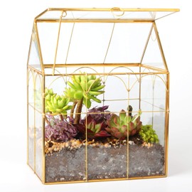 ElegantLife Glass Geometric Terrarium, Succulent & Air Plant(No Plant Included) (House, Gold)