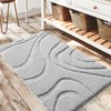 DEXDE Bathroom Rugs Mat, Soft Plush Shaggy Microfiber Bath Rug,
