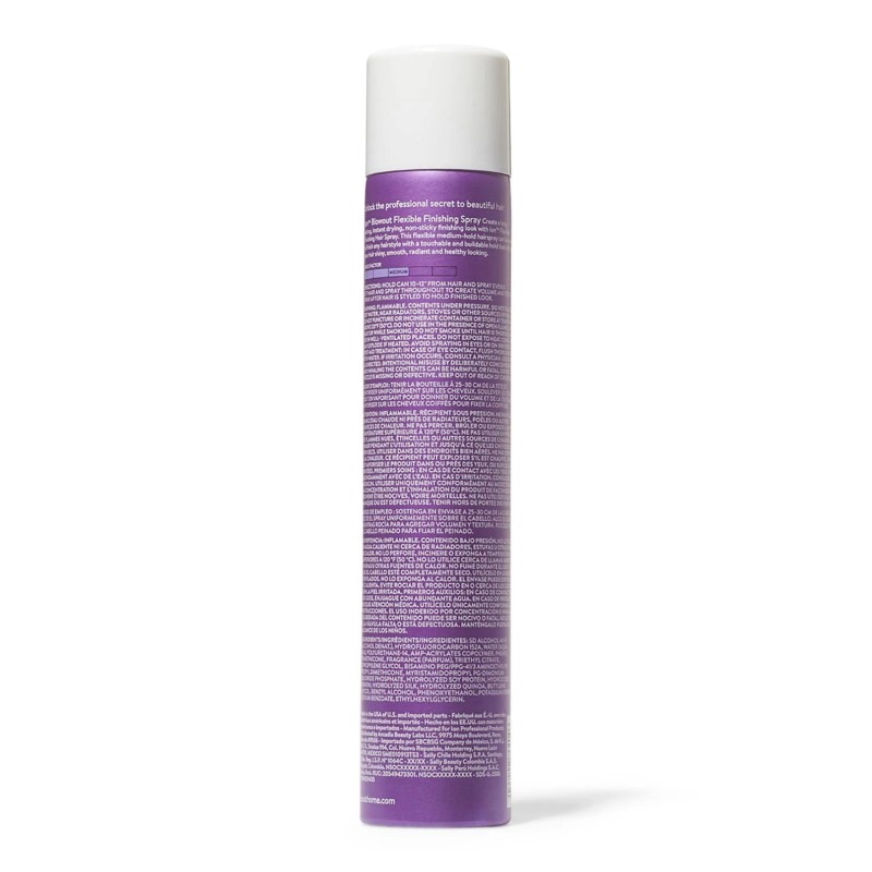 ion Flexible Finishing Spray 10 Ounce Brushable Lightweight Medium Hold