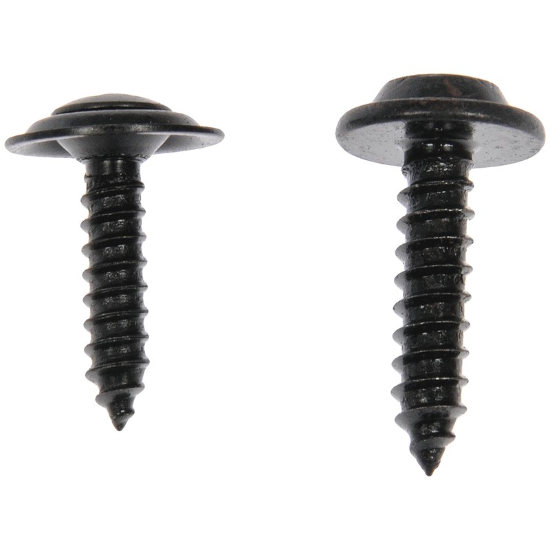 Dorman 961-021 8,10 Assorted Black Trim Screws