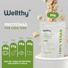 Wellthy Vegan Protein Powder - 25g Plant Based Protein, Gluten-Free