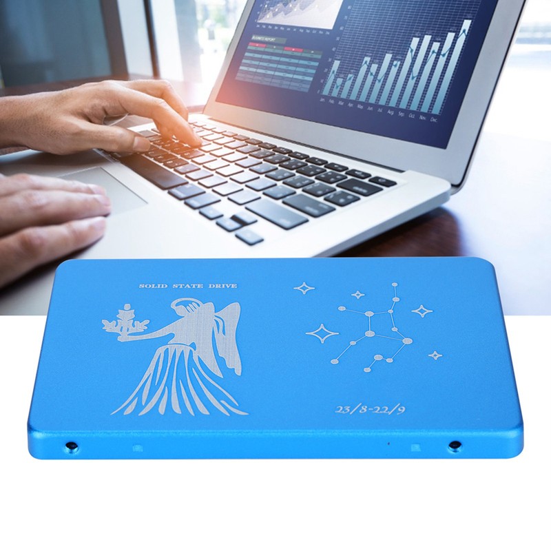 Hsthe Sea Mobile Solid State Disk Portable 2.5 Inch Virgo