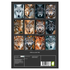 Wölfe aus aller Welt (Wandkalender 2026 DIN A4 hoch), CALVENDO Monatskalender: Jeder Wolf blickt dir direkt in die Augen. Zwölf beeindruckende ... aus der ganzen Welt (CALVENDO Tiere)
