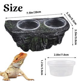 kathson Reptile Feeder Ledge,Reptiles Food Bowls and Water Dish Crested Gecko Feeder with Suction Cup Ledge Accessories Bowls for Gecko Lizard Chameleon Spider(with 2 Pcs Cups)