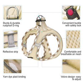 haapaw Dog Harness and Lead Set, No Pull Adjustable Reflective Step-in Puppy Harness with Thickened Padded Vest for Extra-Small/Small Medium Dogs