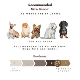 WhiteTail Naturals - Deer Antlers for Extra Small Dogs - (12-Pack) - Natural Dog Antler Chews for Puppies & Small Aggressive Chewers - Long Lasting Chew Bones