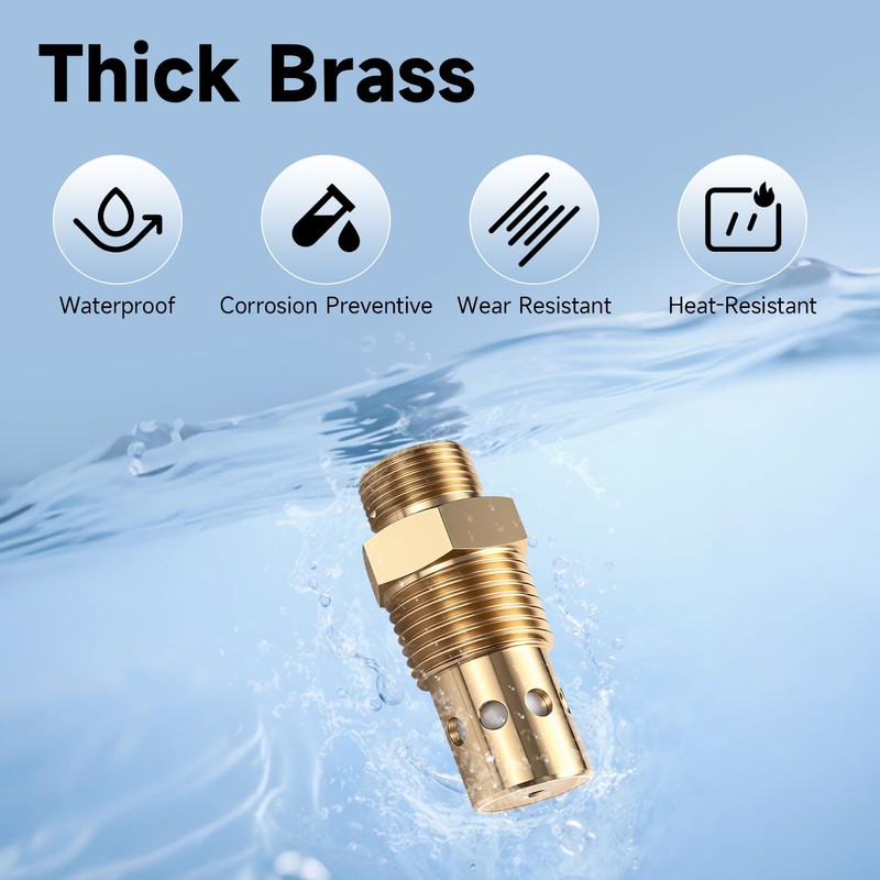 AIYOYOLIFE Air Compressor Check Valve 1/2 npt & 1/2 CFPC