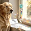 Dog Memorial Gifts for Loss of Dog,Pet Cat Sympathy Gift