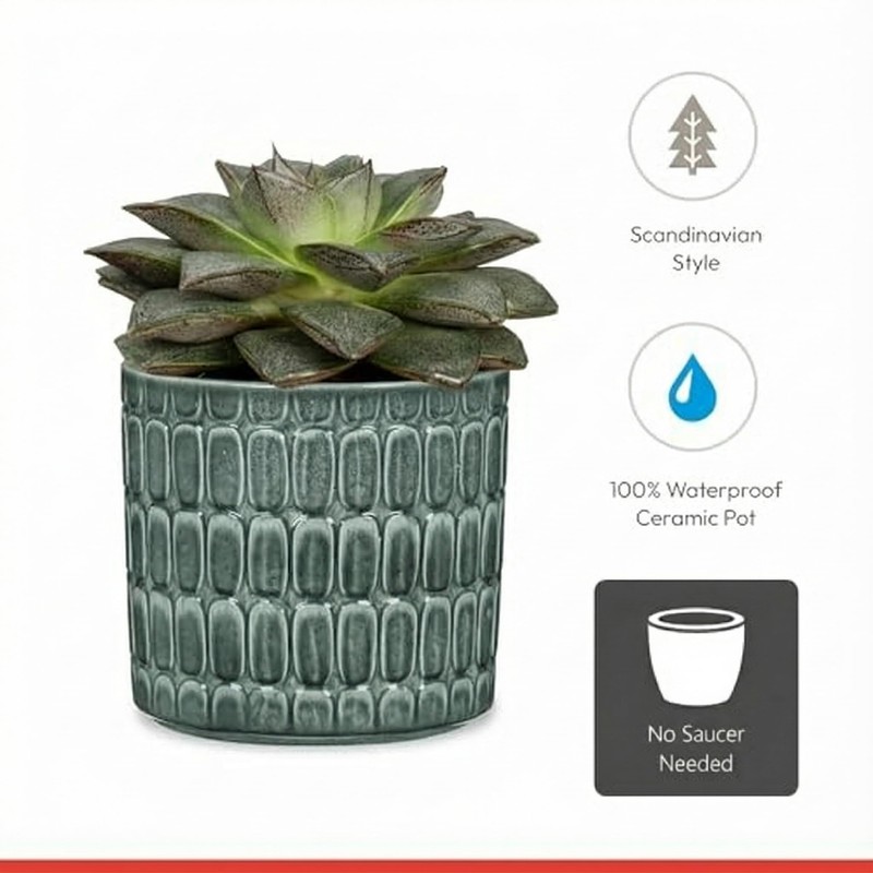 Scheurich Set of 2 Lagom Alma Ceramic Plant Pots -