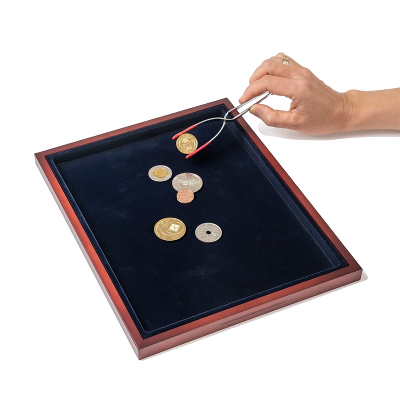 Leuchtturm 367504 Butler Coin Tray - Presentation and Coins -