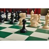 The House of Staunton Competition Plastic Chess Set - Pieces
