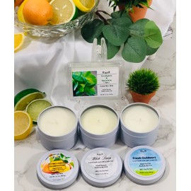 Clean, Fresh & Crisp Scented Candle 4 Pack. Hand Poured. Includes 4 Different scents with Notes of Ozone, Citrus, Floral, Musk and Woods.